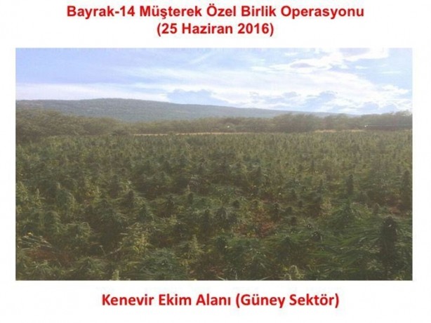 Foto - Diyarbakır'da nefes kesen operasyon