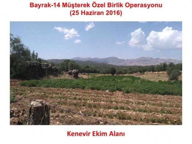 Foto - Diyarbakır'da nefes kesen operasyon