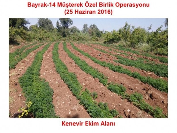 Foto - Diyarbakır'da nefes kesen operasyon