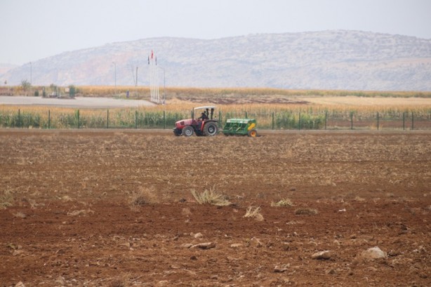 Diyarbakır'da okula tahsis edildi! Atıl 750 dönüm arazide öğrenciler buğday yetiştirecek