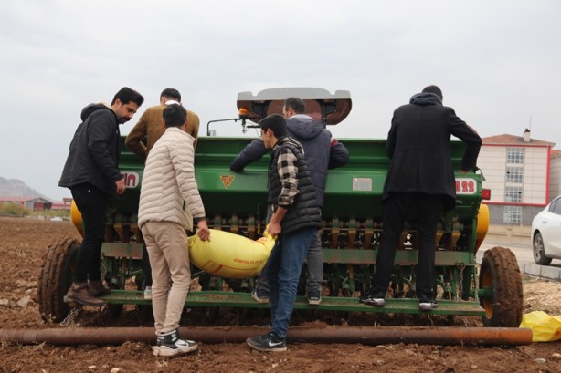 Foto - Diyarbakır'da okula tahsis edildi! Atıl 750 dönüm arazide öğrenciler buğday yetiştirecek