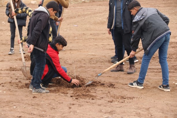 Foto - Diyarbakır'da okula tahsis edildi! Atıl 750 dönüm arazide öğrenciler buğday yetiştirecek