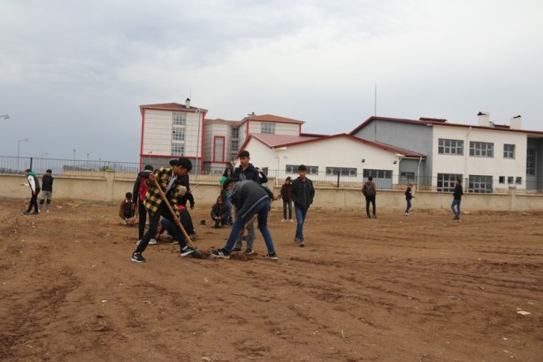 Foto - Diyarbakır'da okula tahsis edildi! Atıl 750 dönüm arazide öğrenciler buğday yetiştirecek