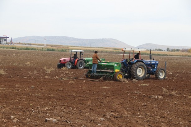 Foto - Diyarbakır'da okula tahsis edildi! Atıl 750 dönüm arazide öğrenciler buğday yetiştirecek