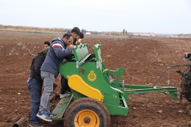 Foto - Diyarbakır'da okula tahsis edildi! Atıl 750 dönüm arazide öğrenciler buğday yetiştirecek