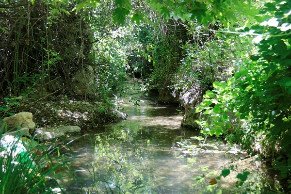 Foto - Diyarbakır'da sıcaktan bunalanlar oraya akın etti