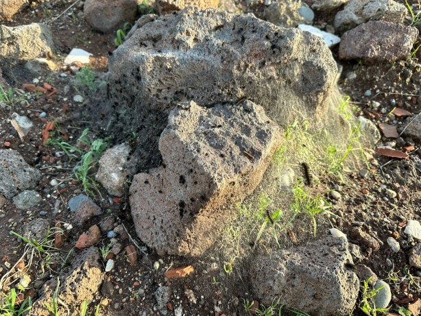 Foto - Diyarbakır'da tedirgin eden olay