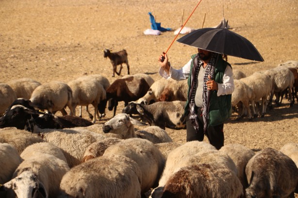 Foto - Diyarbakır'ın yaylalarında konargöçer aileler zorlu yaşamını idame ettiriyor