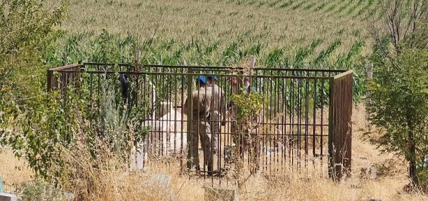 Foto - Diyarbakırlı kayıp Narin Güran için ihbar geldi! Aramalar derede yoğunlaştı