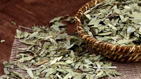 Foto - Diyet yapanların vazgeçilmezi! Beli adım adım inceltiyor