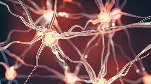 Foto - Diyetinize keten tohumu eklemek için 5 harika neden: Tek formülle dirhem dirhem savaş diyeti! Herkes hemen bunu yapsın