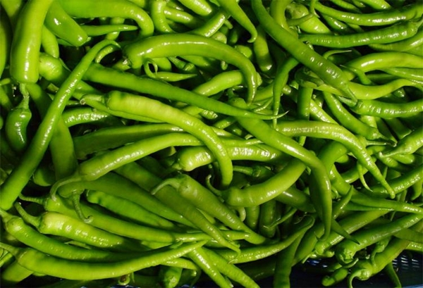 Foto - Diyettekiler dikkat! Hangi sebze kaç kalori?