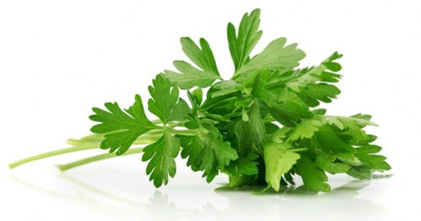 Foto - Diyettekiler dikkat! Hangi sebze kaç kalori?