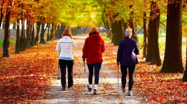 Foto - Diz ağrıları için 2 adet havuç rendeleyin...