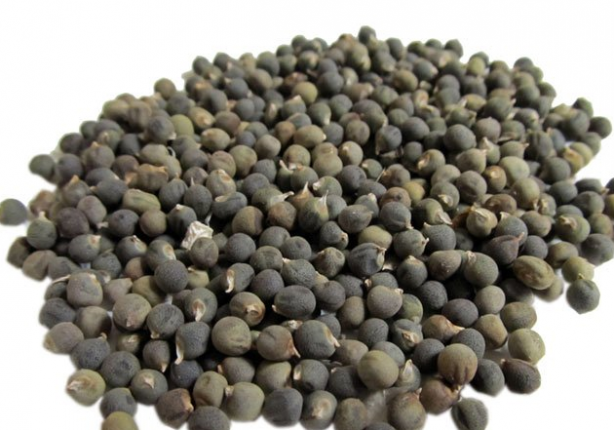 Foto - Diz ağrısına, kireçlenmeye iyi gelen bamya tohumu kürü: Şifası 'yok artık' dedirtecek...