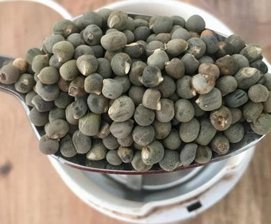 Foto - Diz ağrısına, kireçlenmeye iyi gelen bamya tohumu kürü: Şifası 'yok artık' dedirtecek...