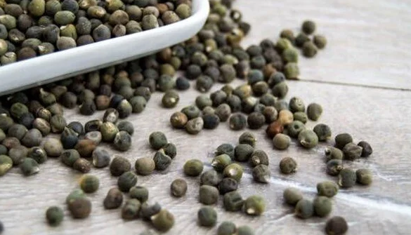 Foto - Diz ağrısına, kireçlenmeye iyi gelen bamya tohumu kürü: Şifası 'yok artık' dedirtecek...