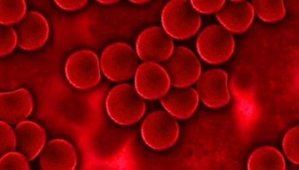 Foto - DNA hakkında bilmedikleriniz