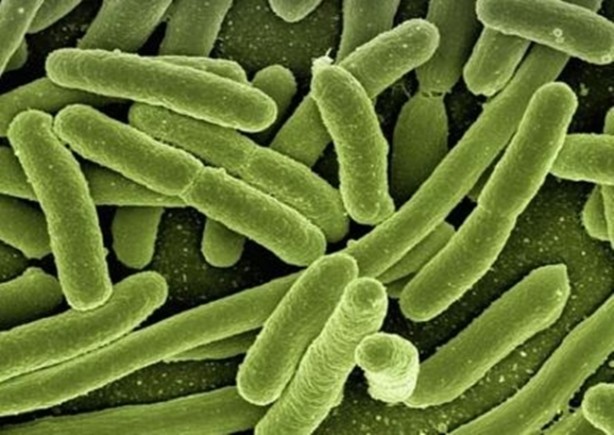 Foto - DNA hakkında bilmedikleriniz