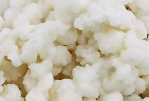 Foto - DNA hasarını onaran besin açıklandı: Şifa dolu dikkat bunu bilmeniz lazım! kanser hastalarına umut olabilir