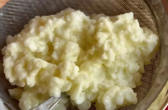 Foto - DNA hasarını onaran besin açıklandı: Şifa dolu dikkat bunu bilmeniz lazım! kanser hastalarına umut olabilir