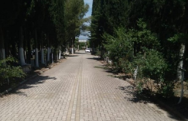 Foto - DNA testiyle babasını buldu! Milyonlarca liralık servetin sahibi oldu