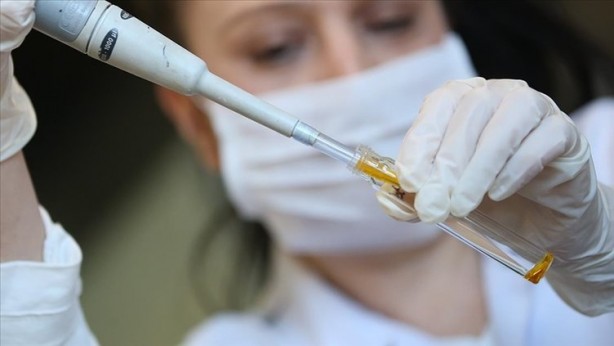 Foto - DNA testiyle babasını buldu! Milyonlarca liralık servetin sahibi oldu