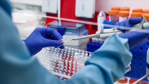 Foto - DNA testiyle babasını buldu! Milyonlarca liralık servetin sahibi oldu