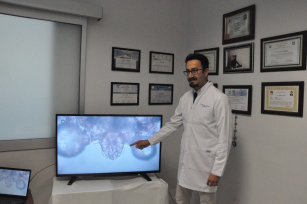 Foto - Doç. Dr. Yürekli: Pandemi uyuz vakalarını patlattı!