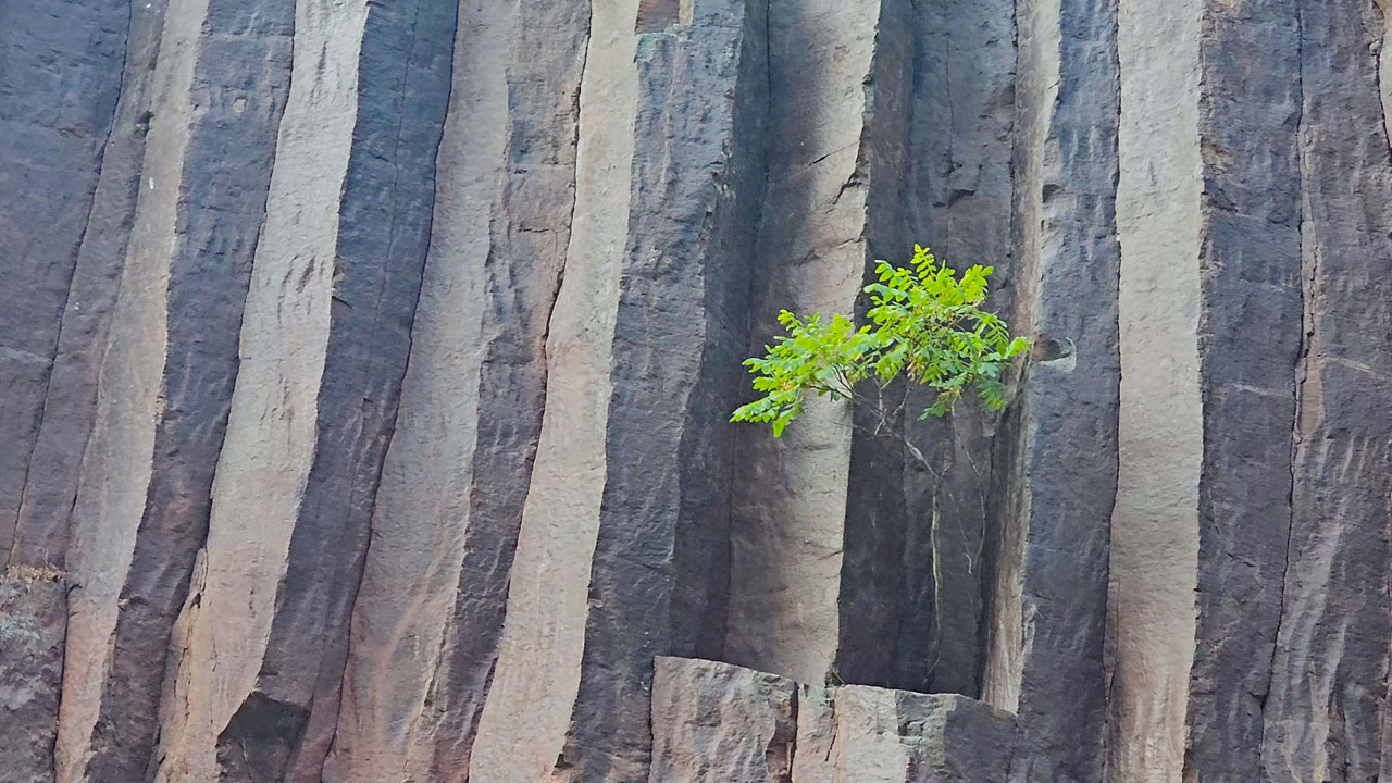 Foto - Doğa harikası Artvin! Bazalt kayalıkları görsel şölen sunuyor