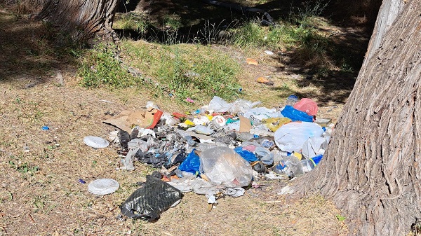 Foto - Doğa harikası gölün içler acısı hali