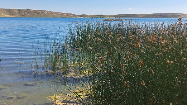 Foto - Doğa harikası gölün içler acısı hali