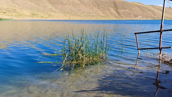 Foto - Doğa harikası gölün içler acısı hali