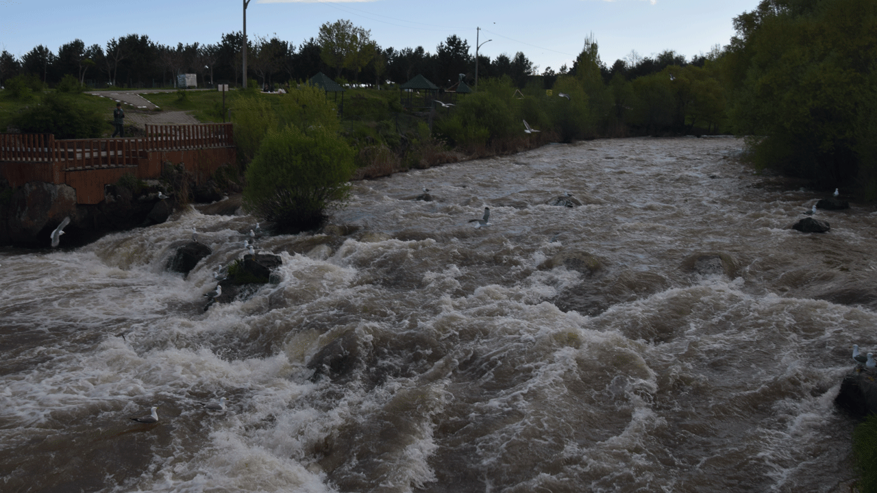 Foto - Doğa harikası ‘İnci Kefali göçü’ yeni bir turizm başlattı: Van’a akın ettiler!