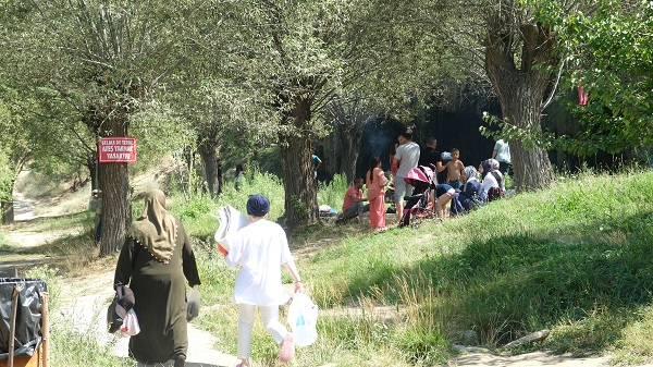 Foto - Doğa harikası şelale hayran bırakıyor