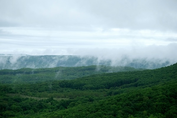 Foto - Doğa, tarih ve yemeğin buluştuğu rota: Kırklareli