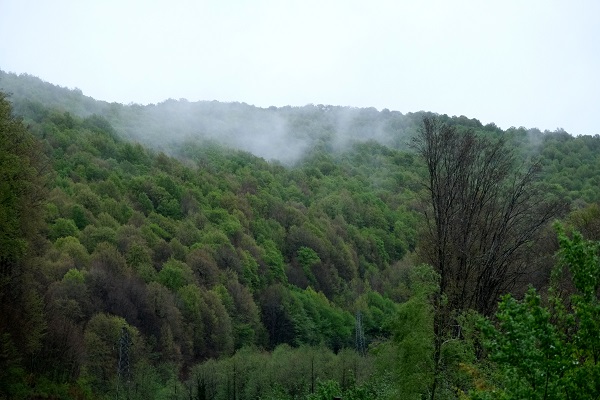 Foto - Doğa, tarih ve yemeğin buluştuğu rota: Kırklareli