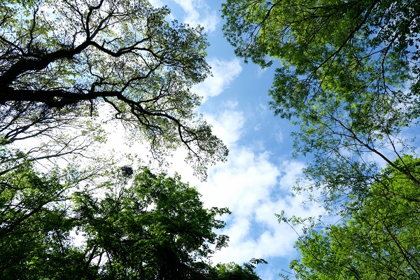 Foto - Doğa, tarih ve yemeğin buluştuğu rota: Kırklareli