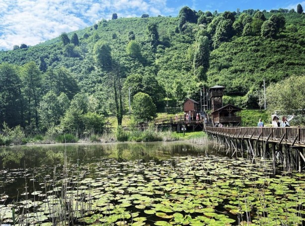Foto - Doğa tutkunlarını Düzce’ye davet etti