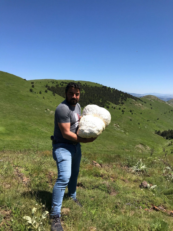 Foto - Doğa yürüyüşü sırasında buldu! Görünce ne yapacağını şaşırdı! Tamı tamına 12 kilo 300 gram