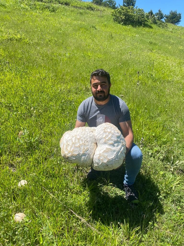 Doğa yürüyüşü sırasında buldu! Görünce ne yapacağını şaşırdı! Tamı tamına 12 kilo 300 gram