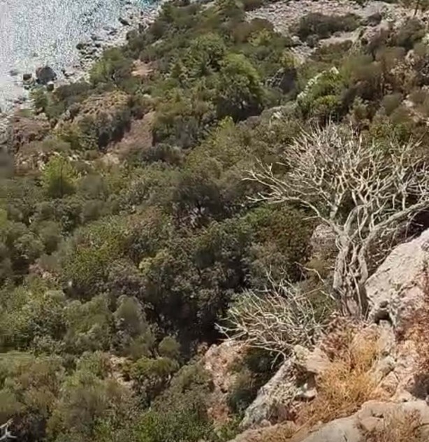 Foto - Doğa yürüyüşünde kaybolmuştu! O Rus bulundu