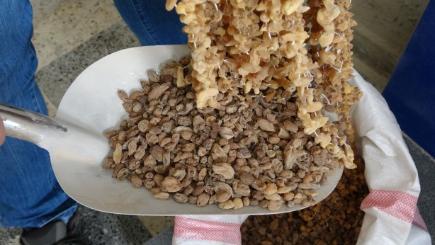 Foto - Doğada bulmak imkansız gibi! Kilosu 3 bin liradan satılıyor