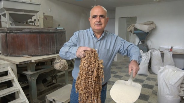 Foto - Doğada bulmak imkansız gibi! Kilosu 3 bin liradan satılıyor