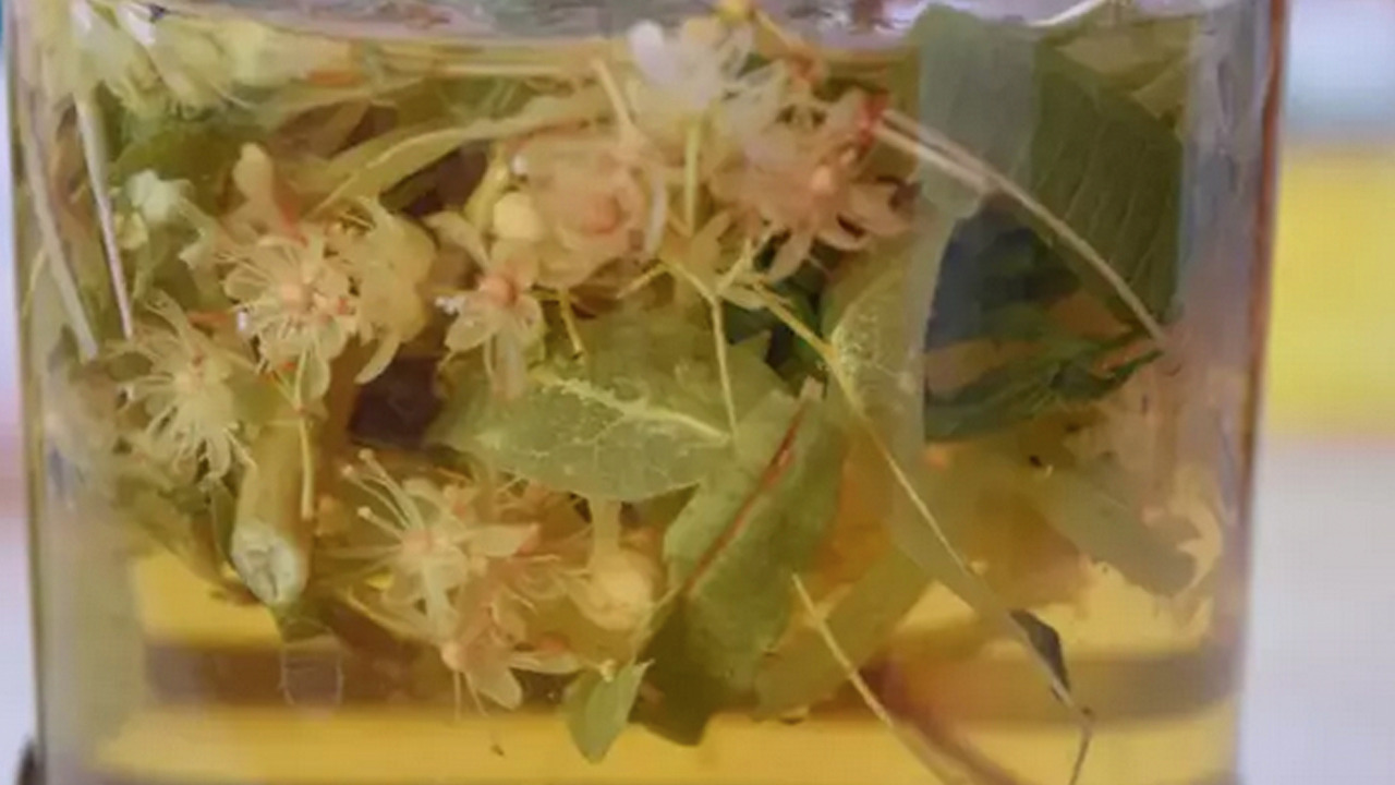 Foto - Doğada kendi kendine yetişiyor: Cayır cayır kilo verdiriyor! Bilinmeyen 6 faydası bakın ne!