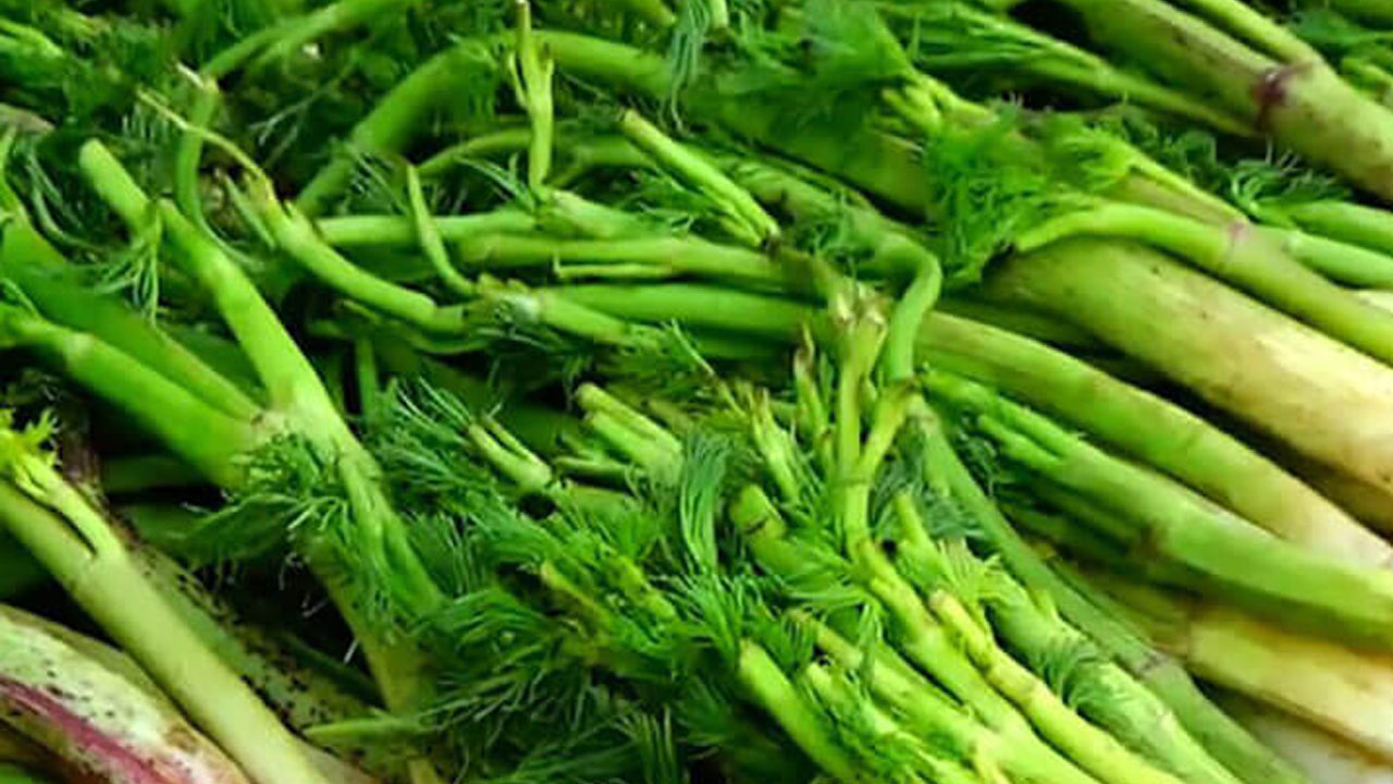 Foto - Doğada kendi kendine yetişiyor! Yok satıyor: Şişkinlik, gaz ve hazımsızlığın kökünü kurutuyor! 