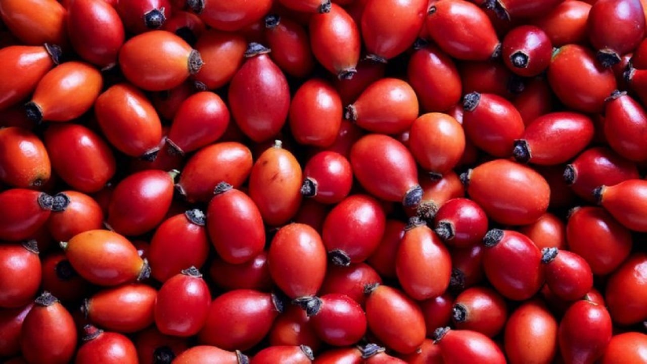 Foto - Doğada kendiliğinden yetişiyor! Kasa kasa portakal almak yerine bu besini tüketin