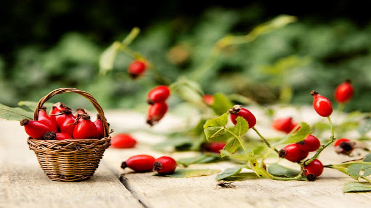 Foto - Doğada kendiliğinden yetişiyor! Kasa kasa portakal almak yerine bu besini tüketin