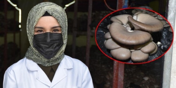 Foto - Doğada kendiliğinden yetişiyor! Kilosu 2 bin TL