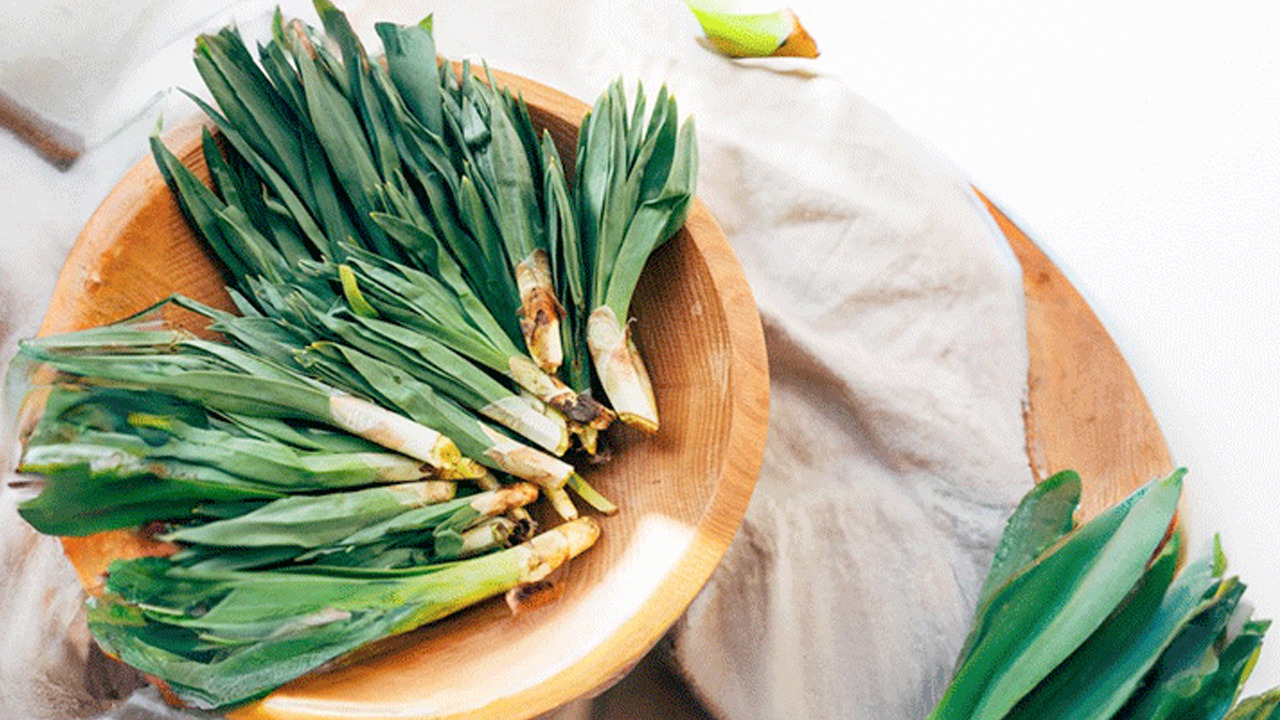 Çiriş otu tezgahlardaki yerini aldı: Kilosu 40 TL: Bağırsakları fokur fokur çalıştırıyor 